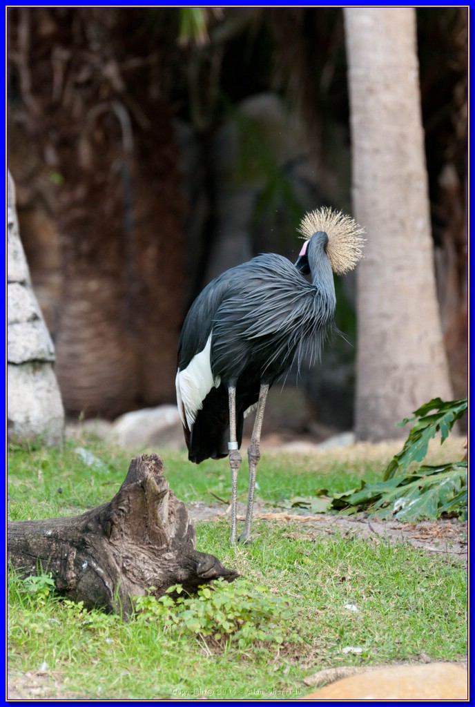 DSC_3064.jpg