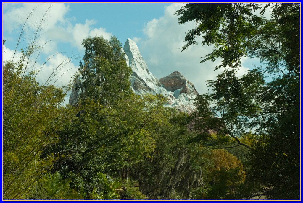 DSC_3095.jpg