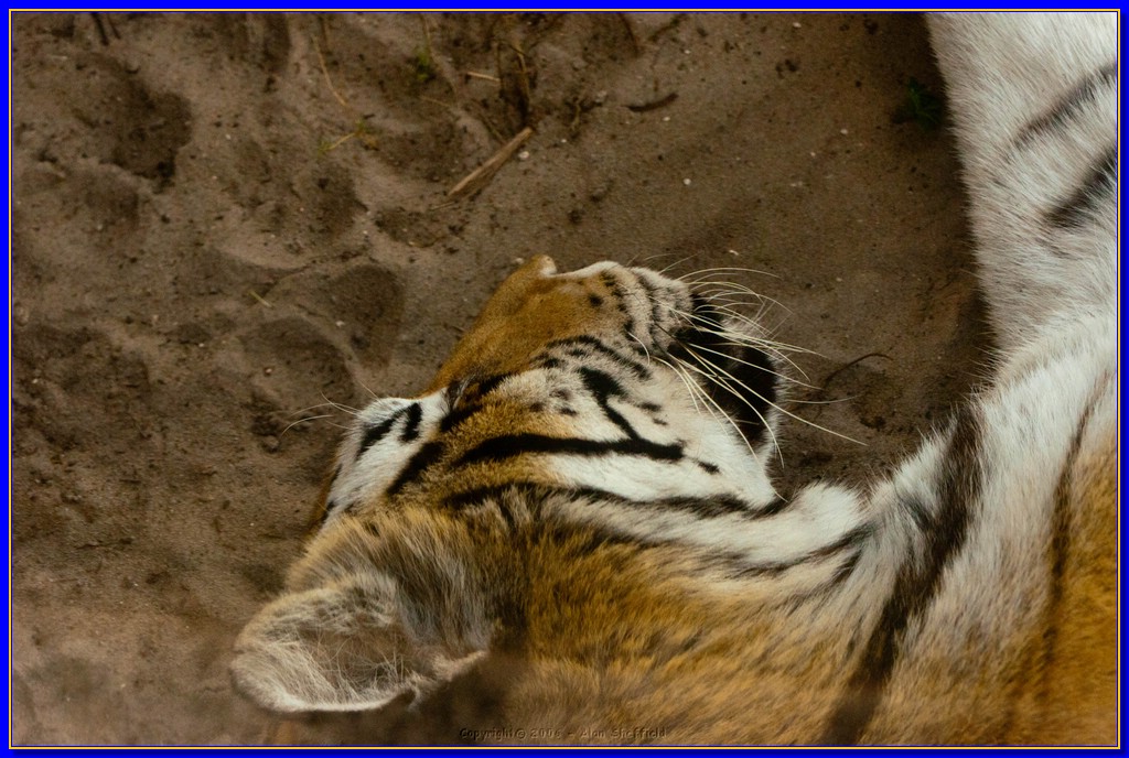 DSC_3113.jpg