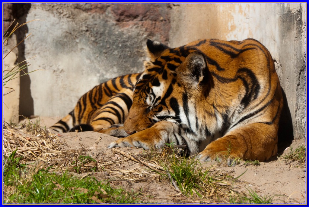 DSC_3115.jpg