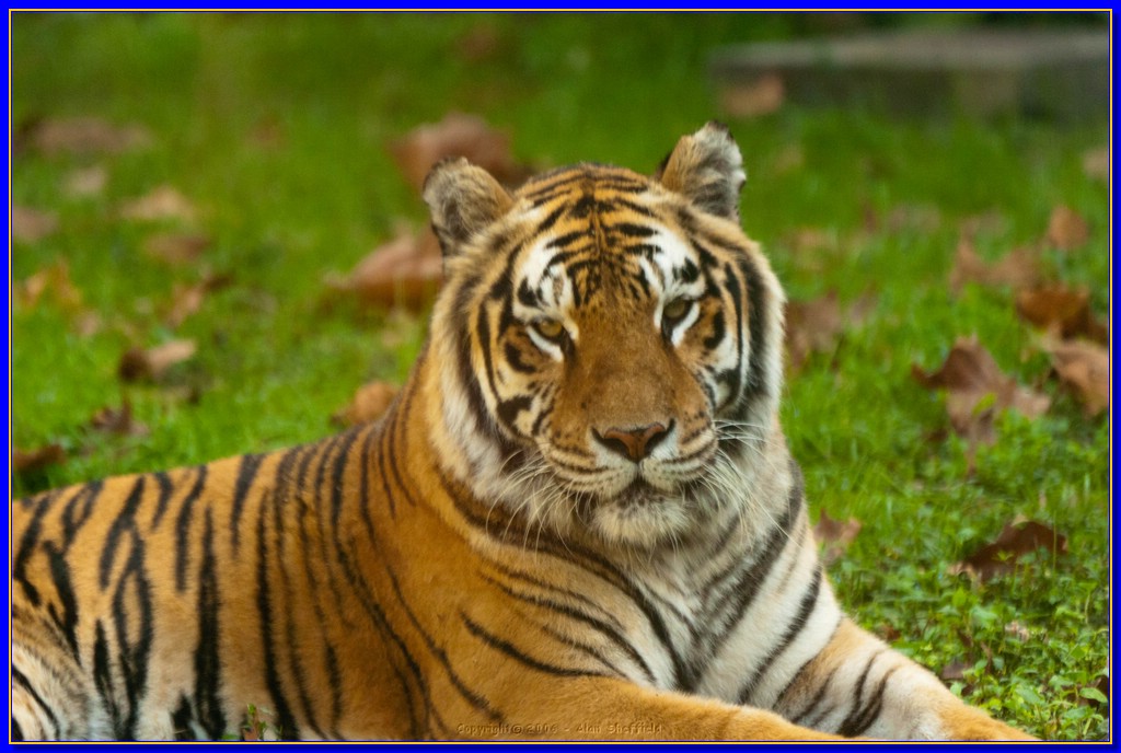 DSC_3116.jpg