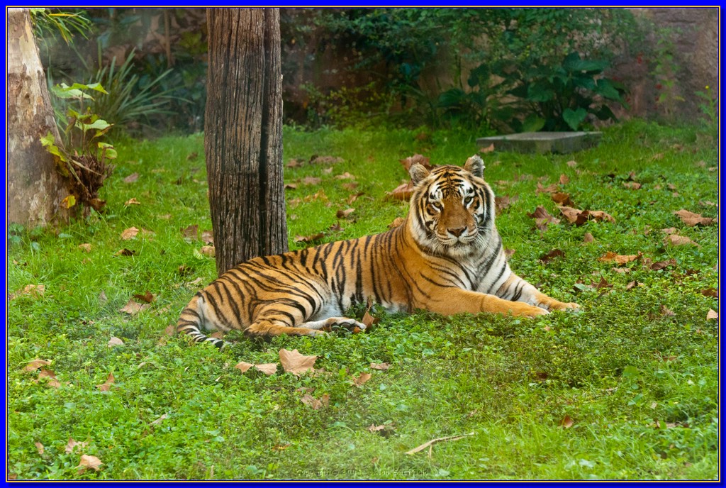 DSC_3117.jpg