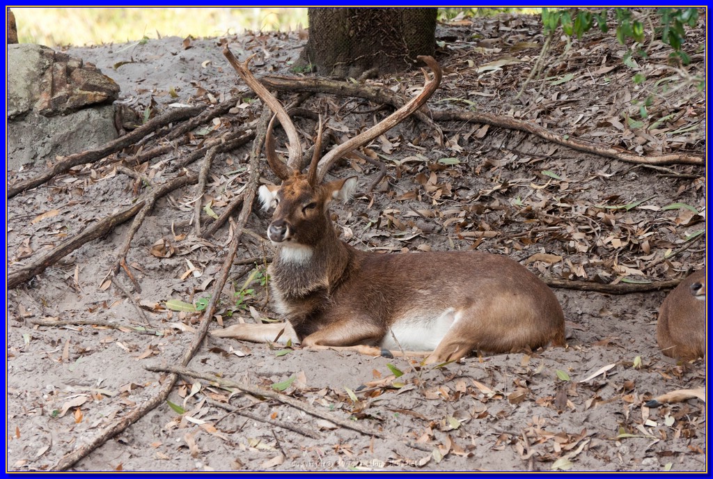 DSC_3123.jpg