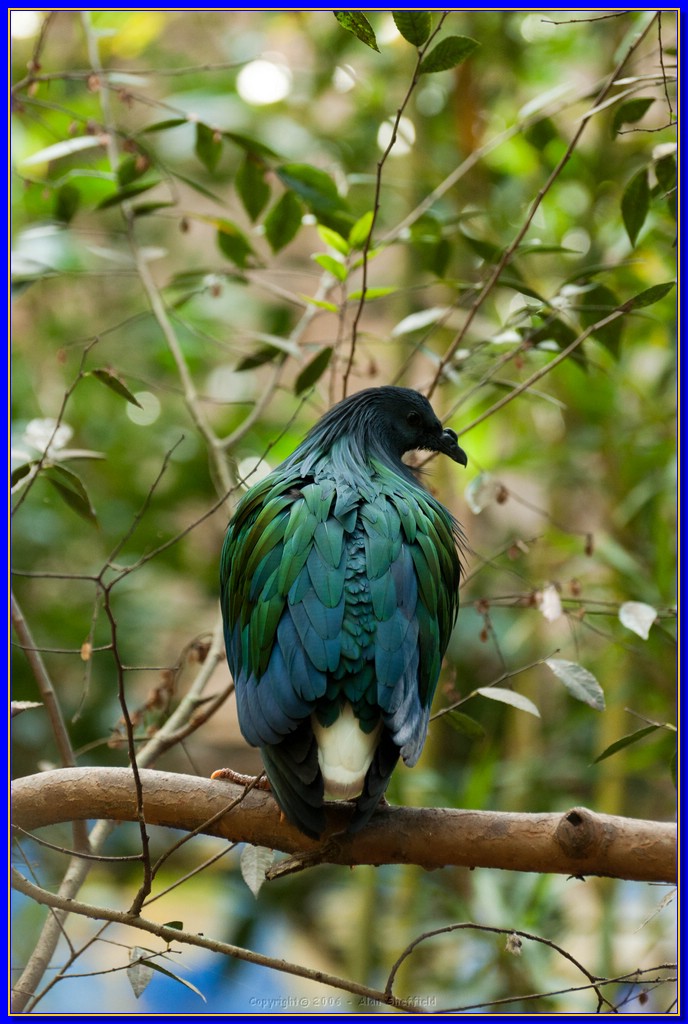 DSC_3126.jpg