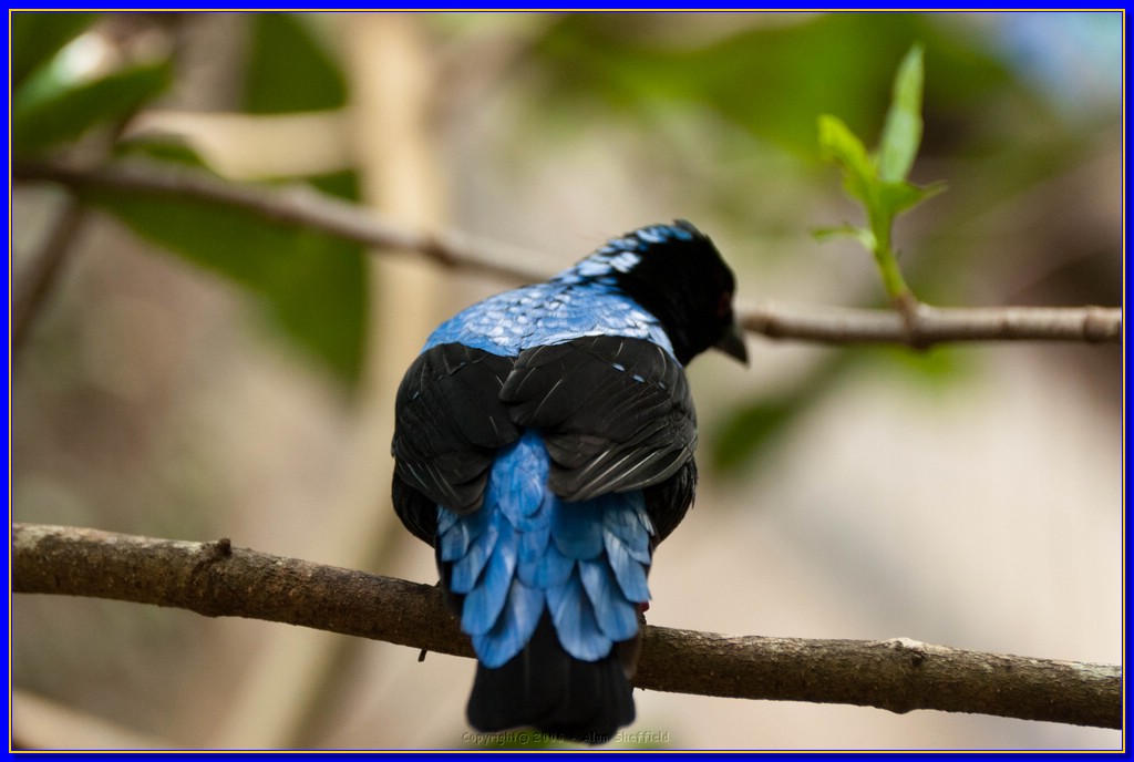 DSC_3129.jpg