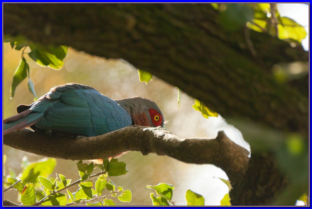 DSC_3135.jpg