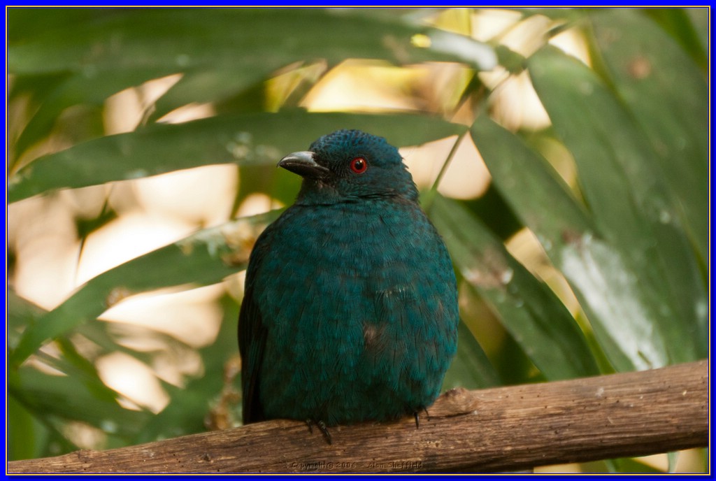 DSC_3138.jpg