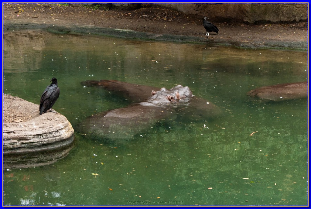 DSC_3161.jpg