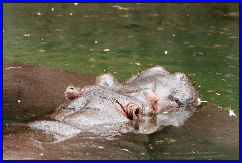 DSC_3162.jpg