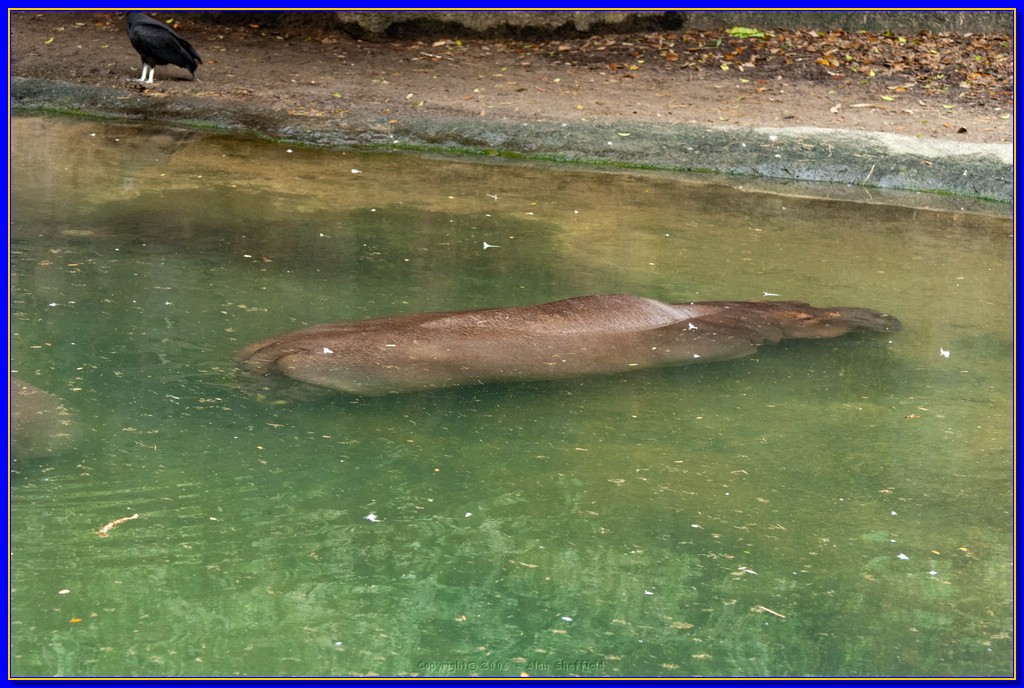 DSC_3163.jpg