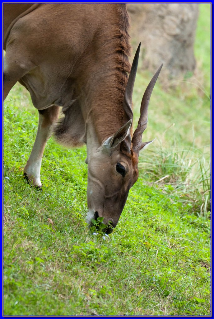 DSC_3171.jpg