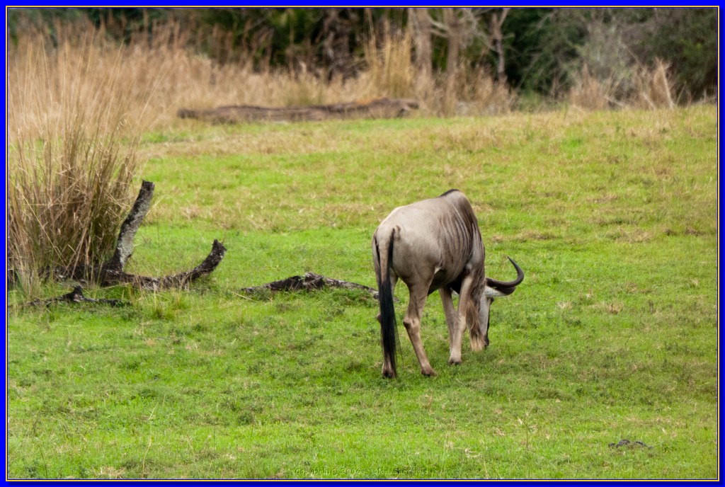 DSC_3175.jpg