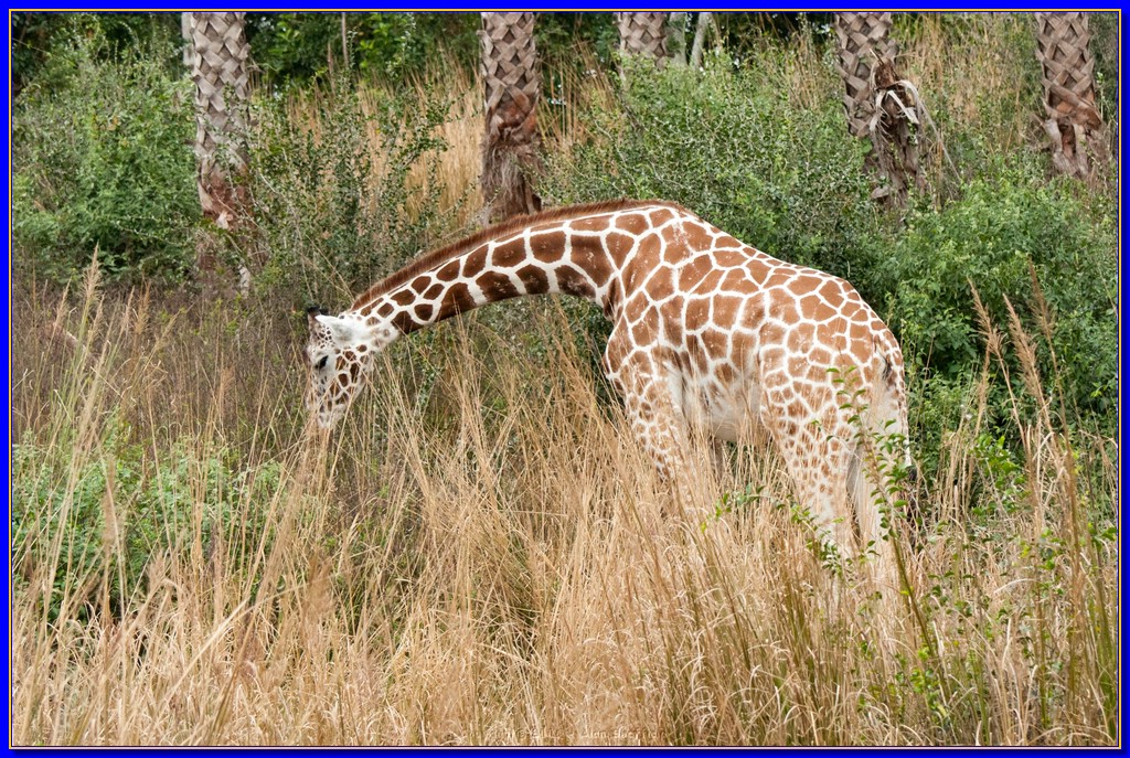 DSC_3177.jpg