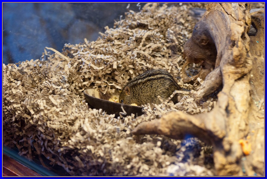 DSC_3221.jpg