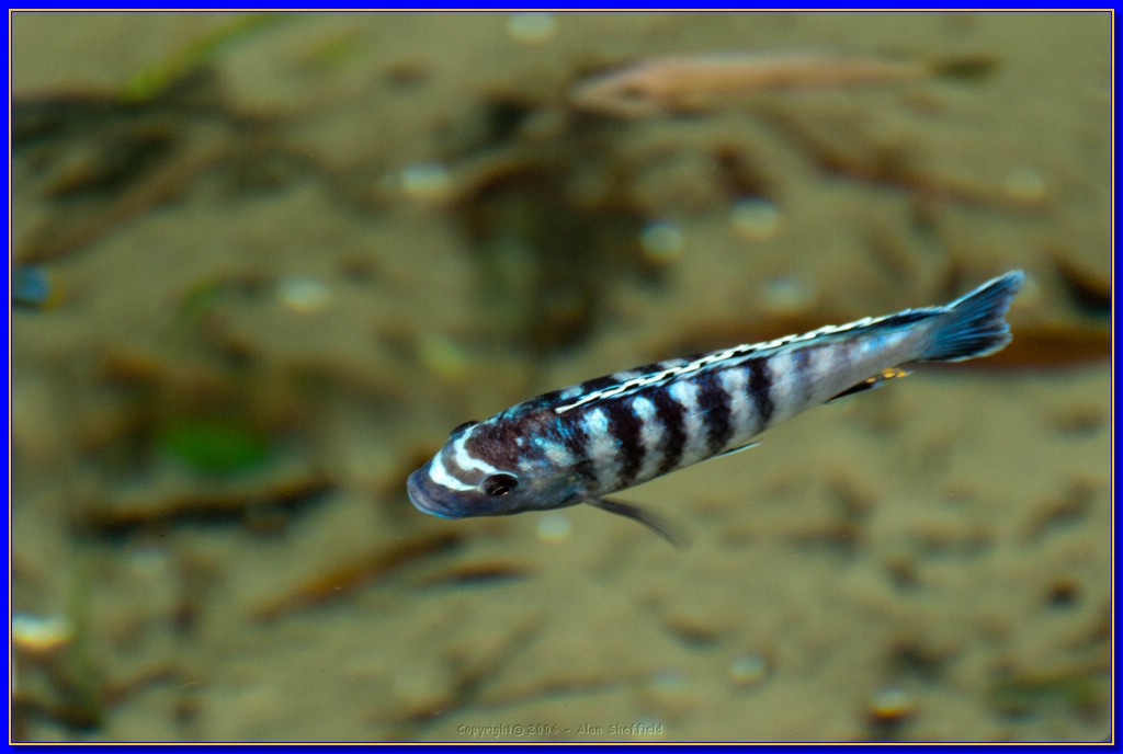 DSC_3226.jpg