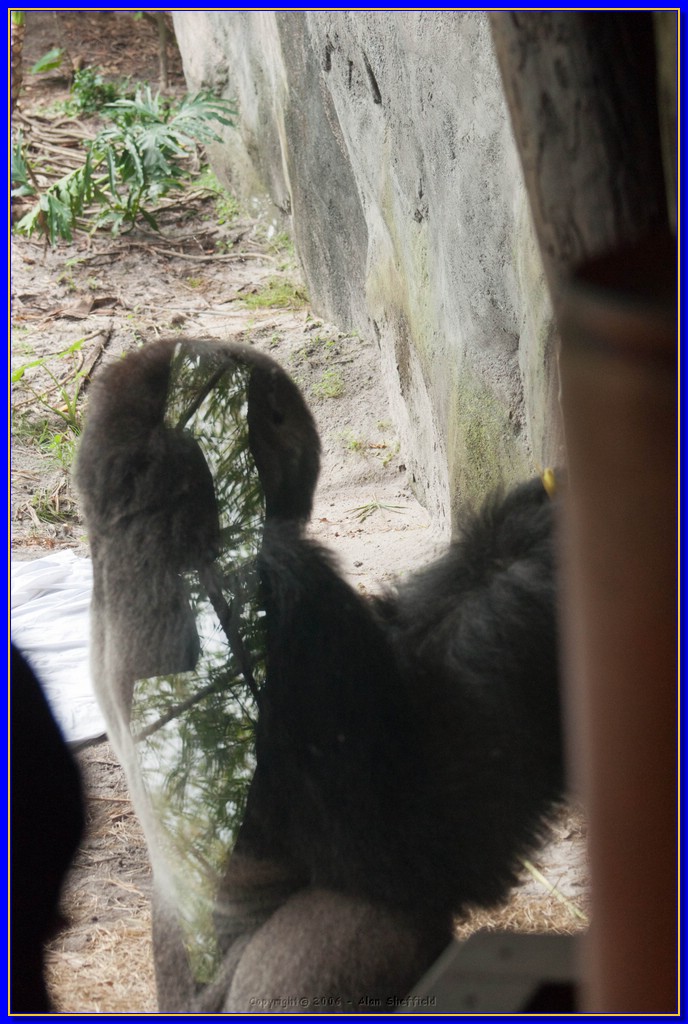 DSC_3234.jpg