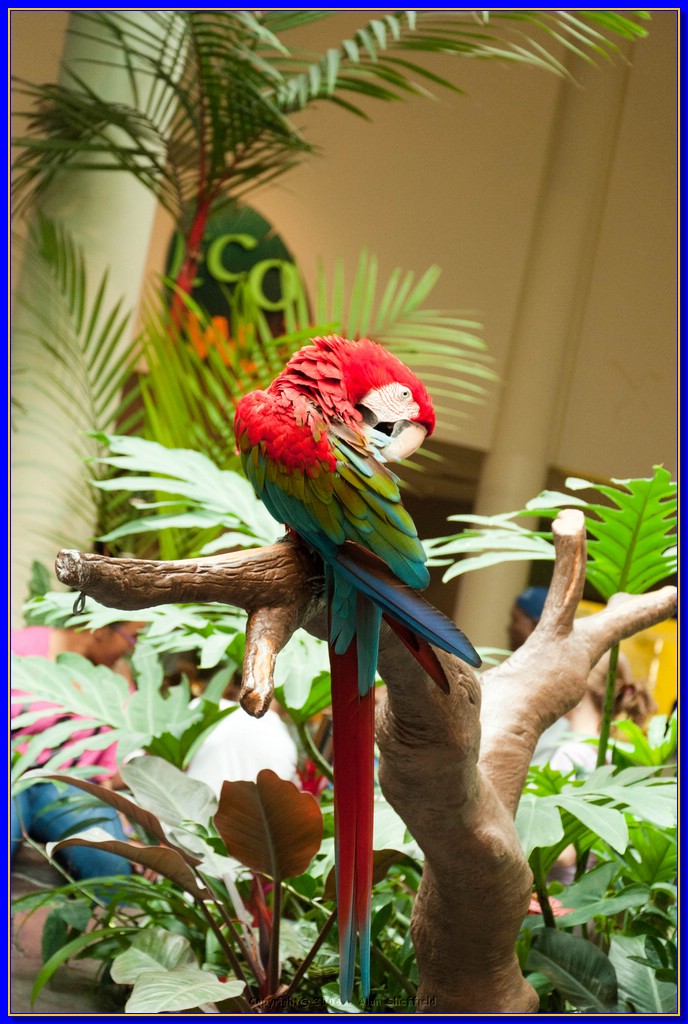 DSC_3247.jpg