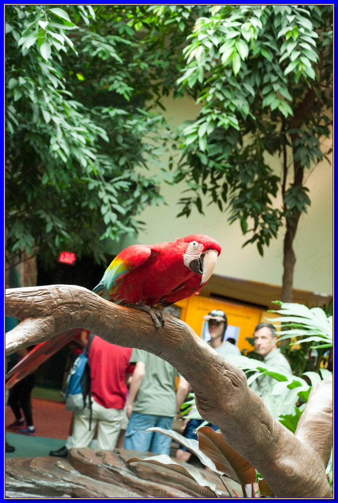 DSC_3250.jpg