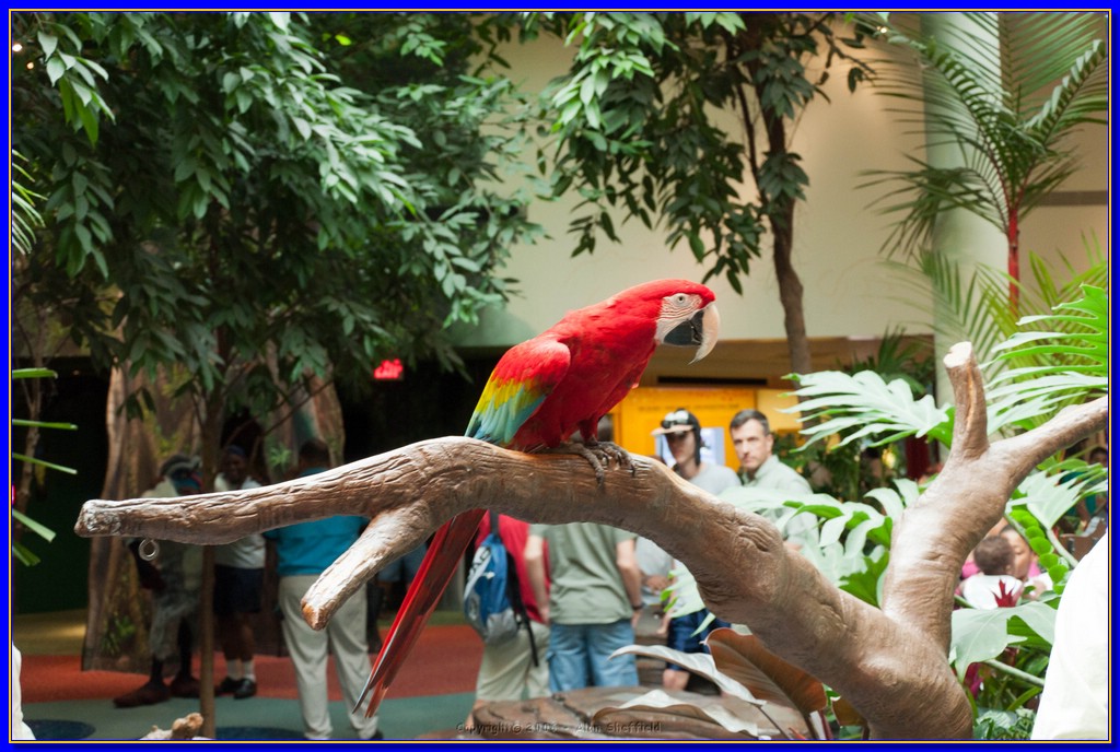 DSC_3251.jpg