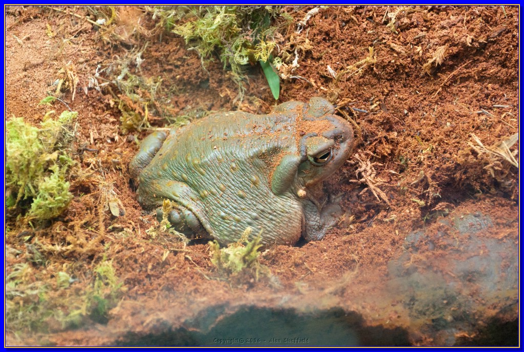 DSC_3252.jpg