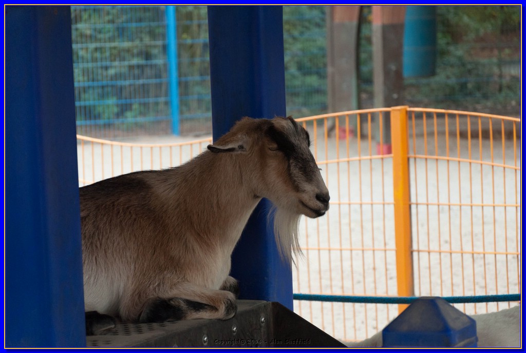 DSC_3262.jpg