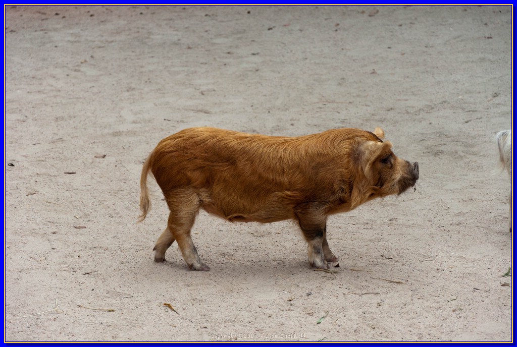 DSC_3263.jpg