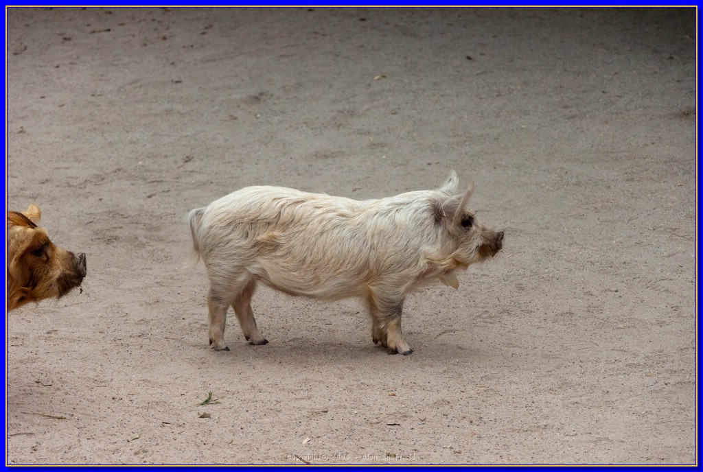 DSC_3264.jpg