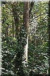 DSC_3037.jpg