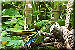 DSC_3050.jpg