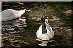 DSC_3051.jpg