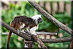 DSC_3060.jpg
