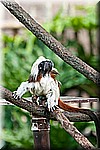 DSC_3061.jpg