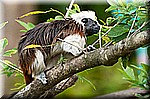 DSC_3062.jpg