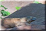 DSC_3098.jpg