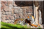 DSC_3110.jpg