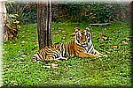 DSC_3117.jpg