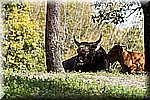DSC_3119.jpg