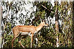 DSC_3120.jpg