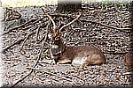 DSC_3123.jpg