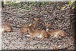 DSC_3124.jpg