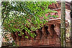 DSC_3125.jpg