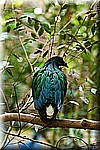 DSC_3126.jpg