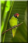 DSC_3130.jpg