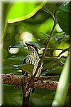 DSC_3131.jpg
