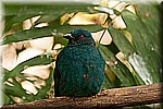 DSC_3138.jpg