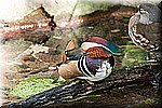 DSC_3140.jpg