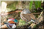 DSC_3141.jpg