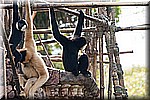 DSC_3145.jpg