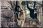 DSC_3146.jpg