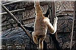 DSC_3147.jpg